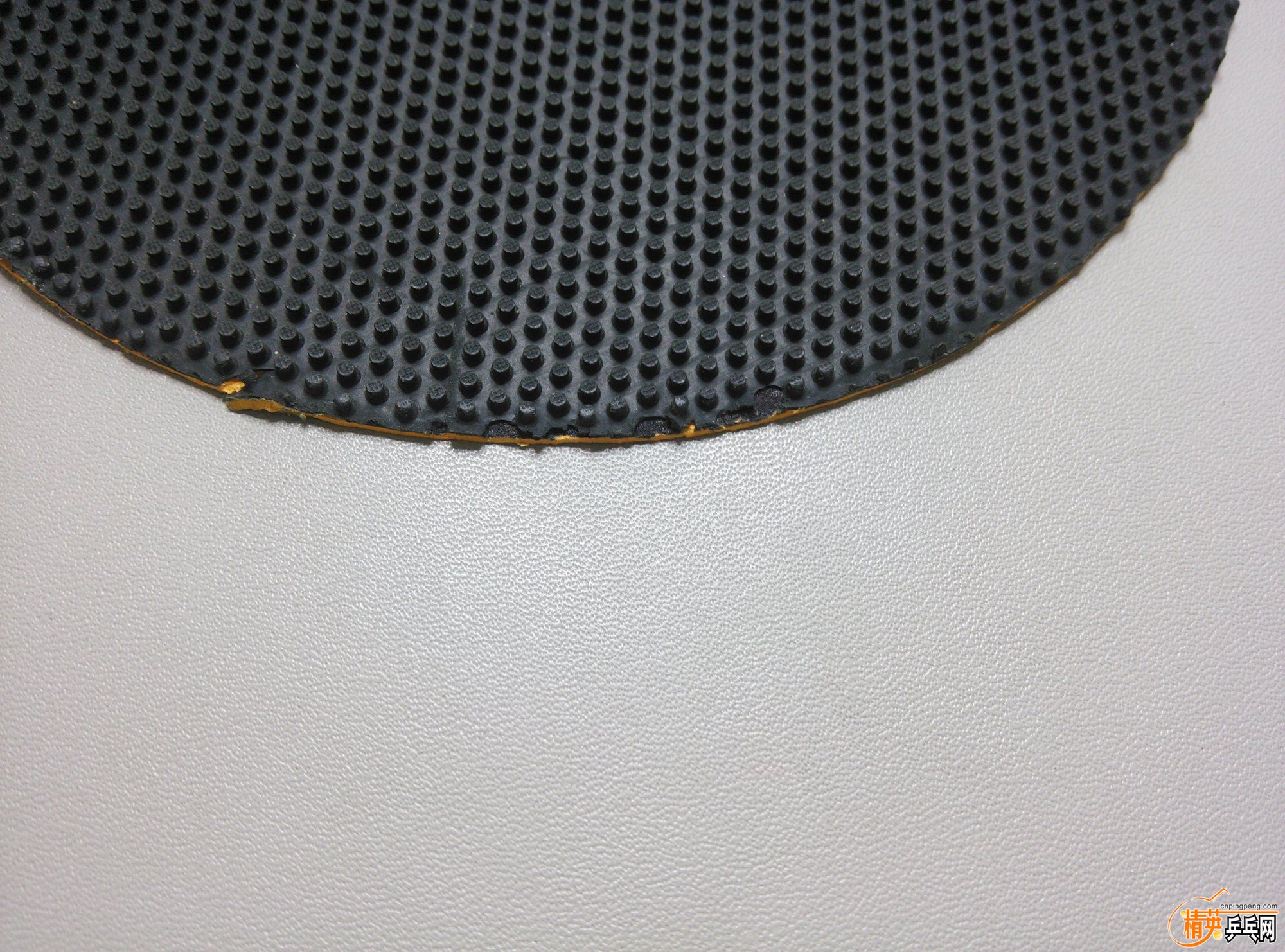 dsc_1476.jpg
