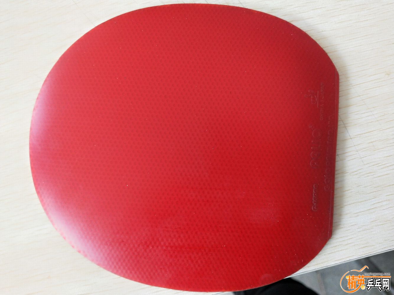 IMG20191025105515.jpg