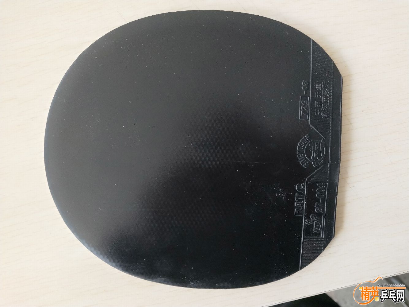 IMG20191025105530.jpg