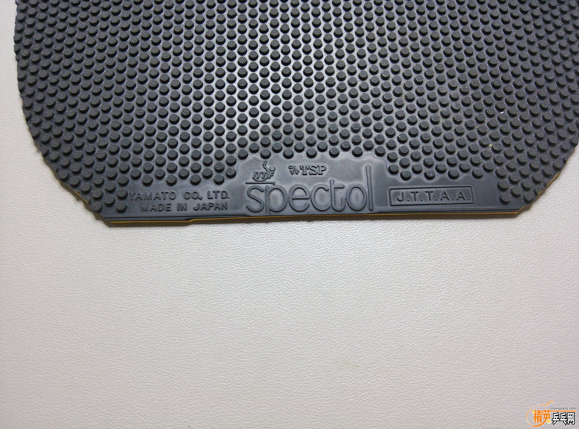 dsc_1540.jpg