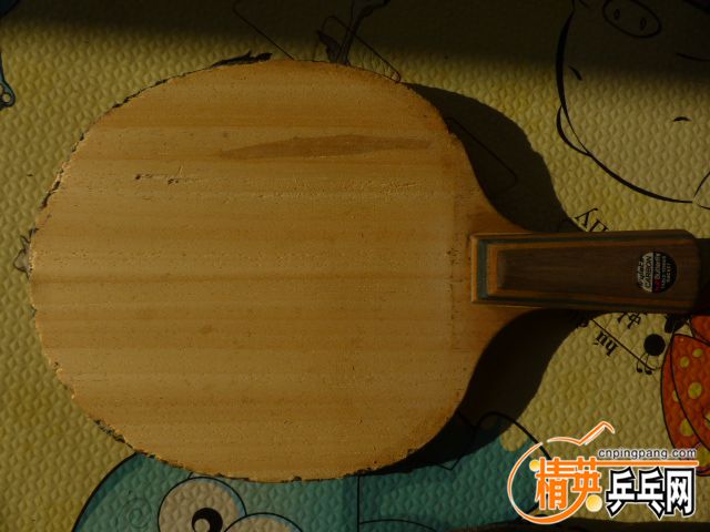 P1060257.JPG