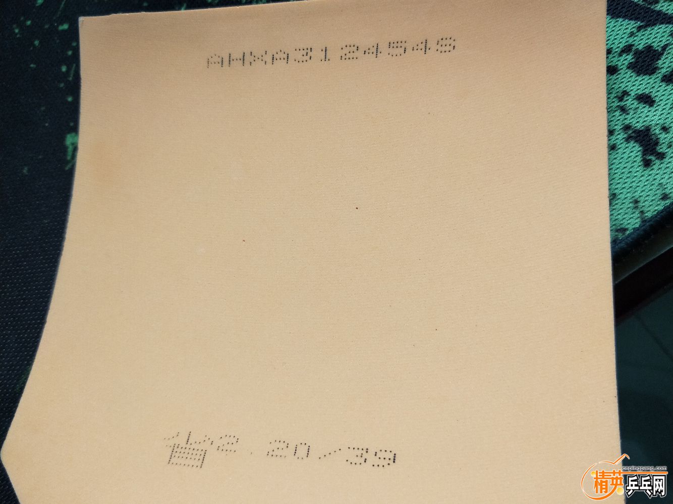 IMG20191031131702.jpg