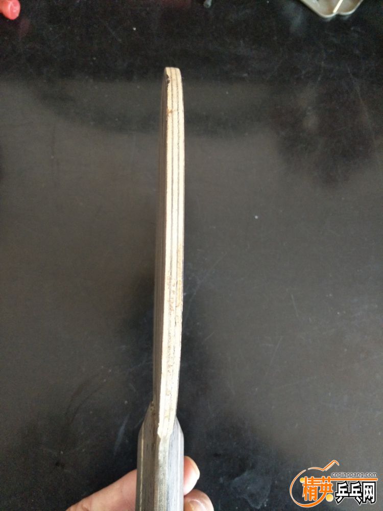 IMG20191027142544.jpg