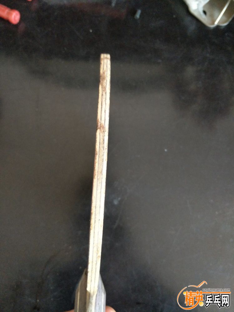 IMG20191027142550.jpg