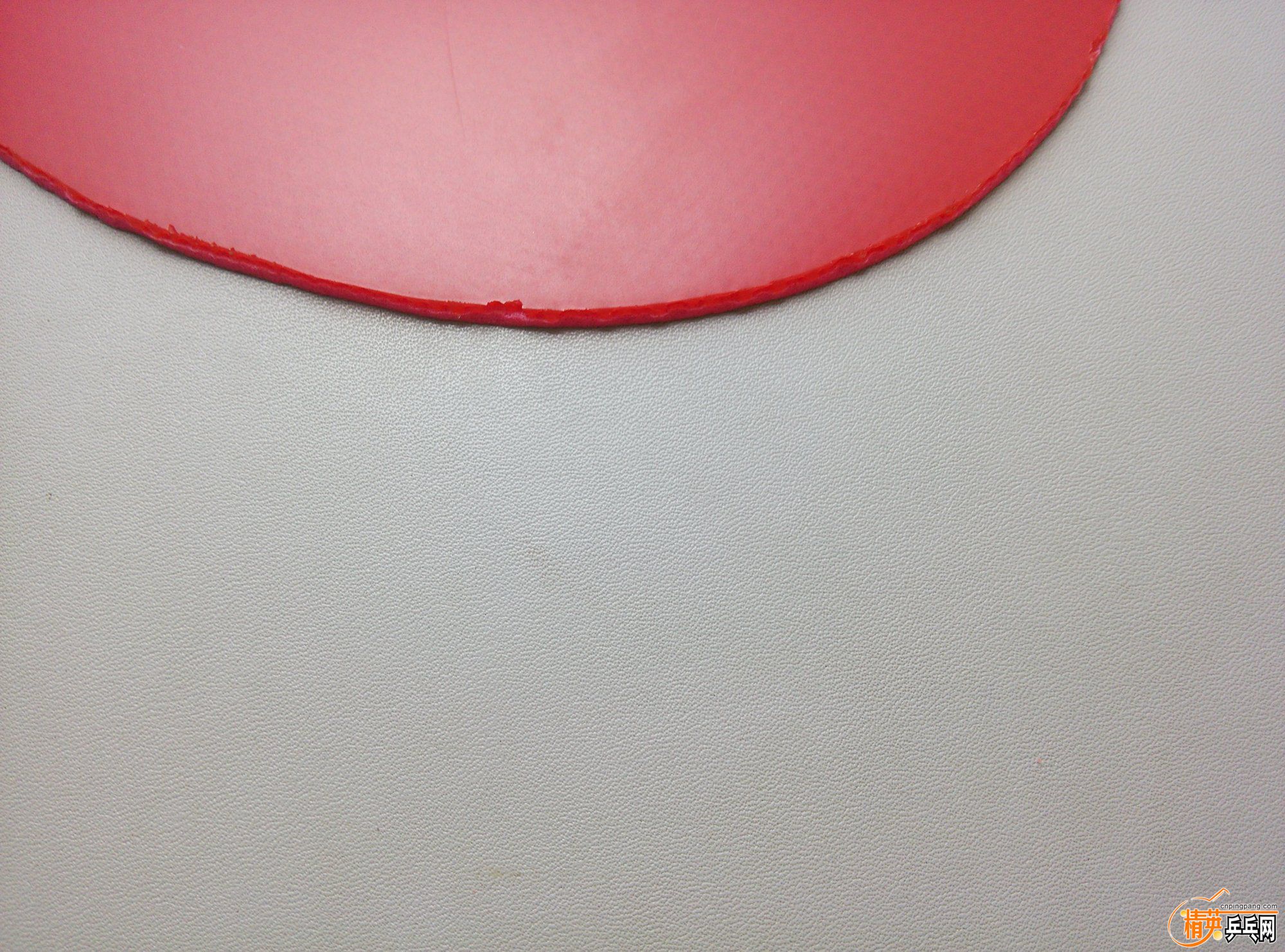 dsc_1733.jpg