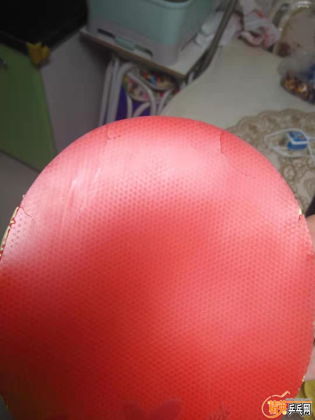 b0dbcb92b442a26308e595ed380f7ea.jpg
