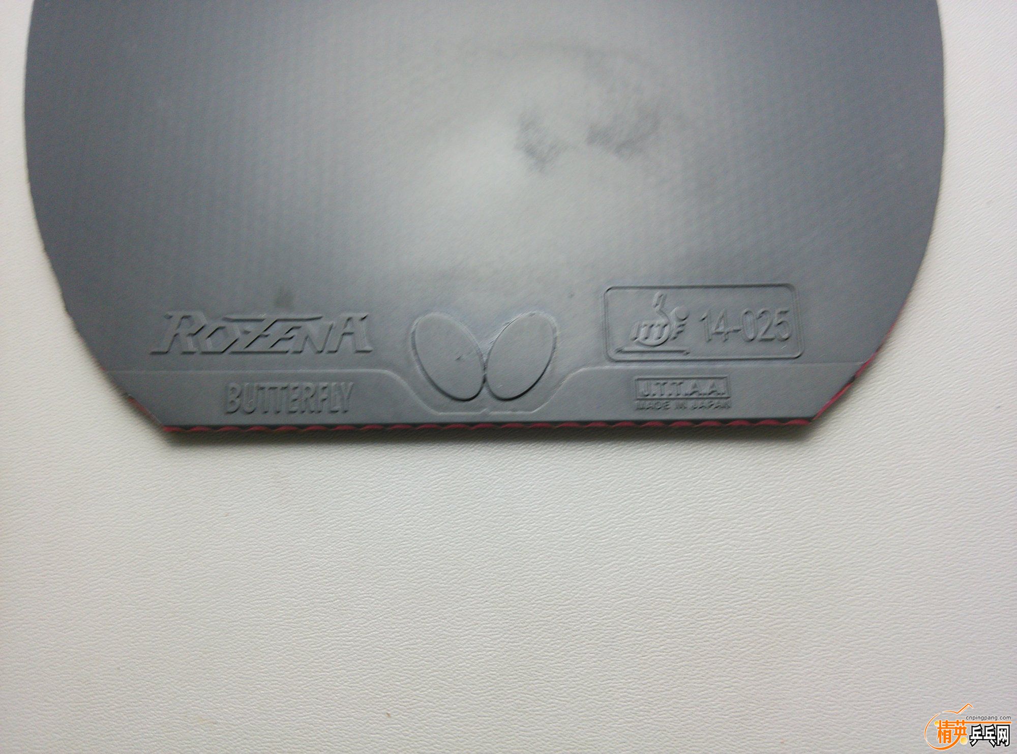 dsc_1817.jpg
