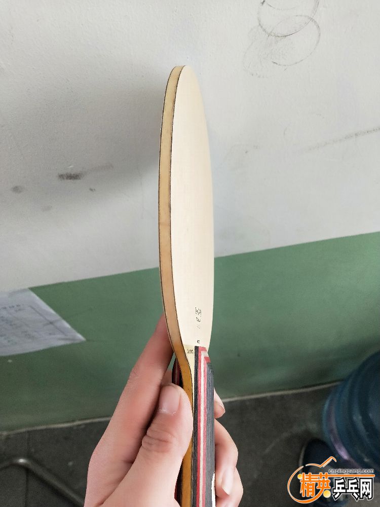 IMG20191113084035.jpg