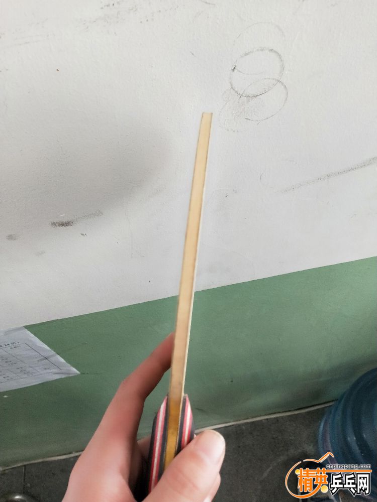 IMG20191113084028.jpg