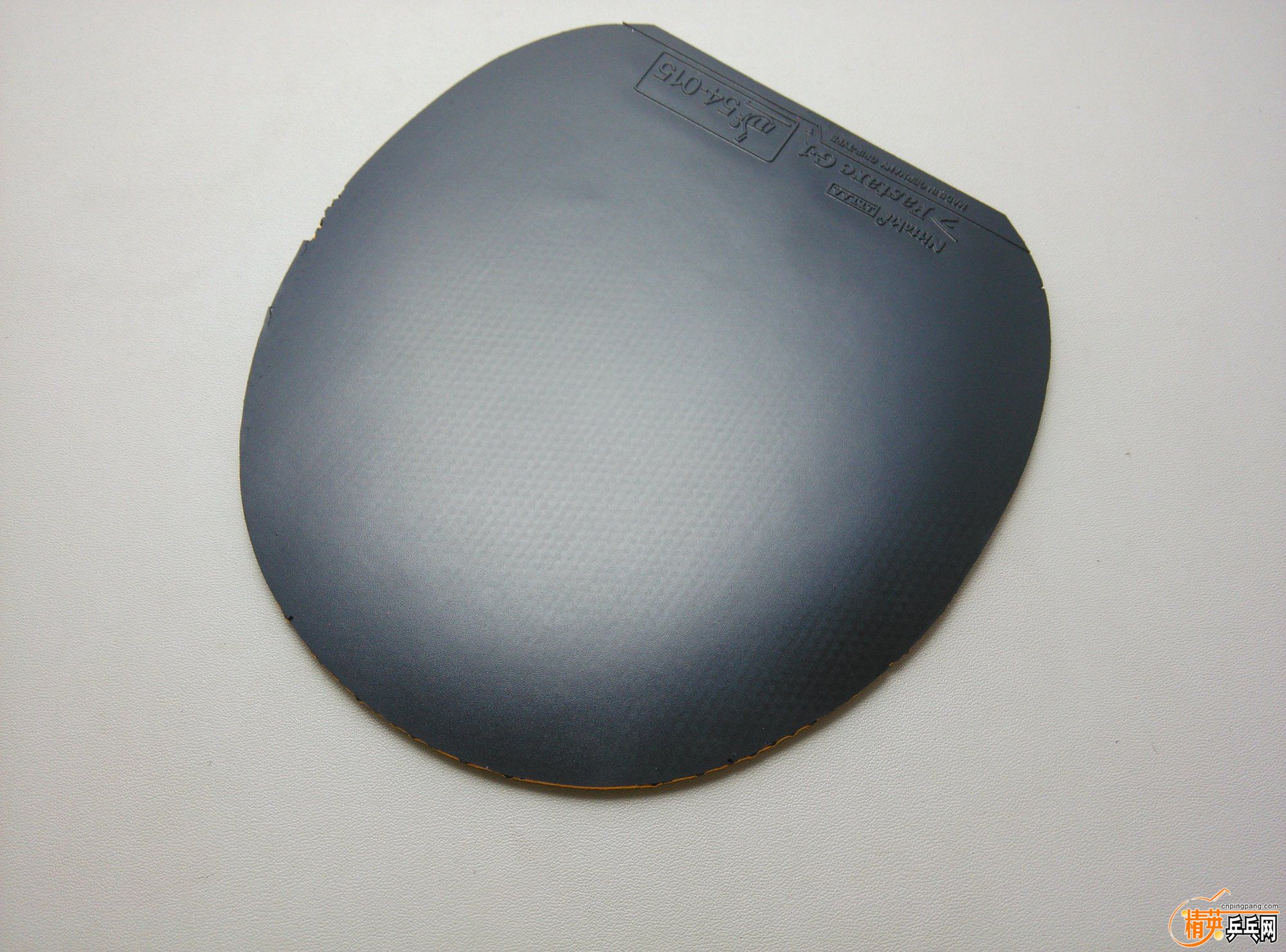 dsc_2548.jpg
