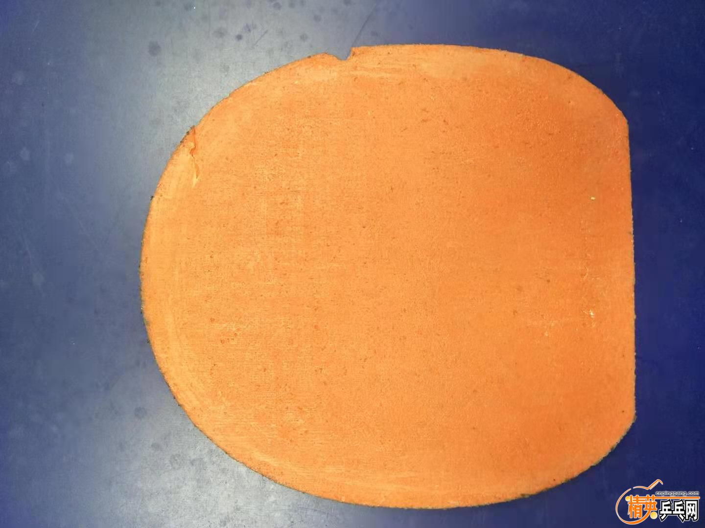175063209.jpg