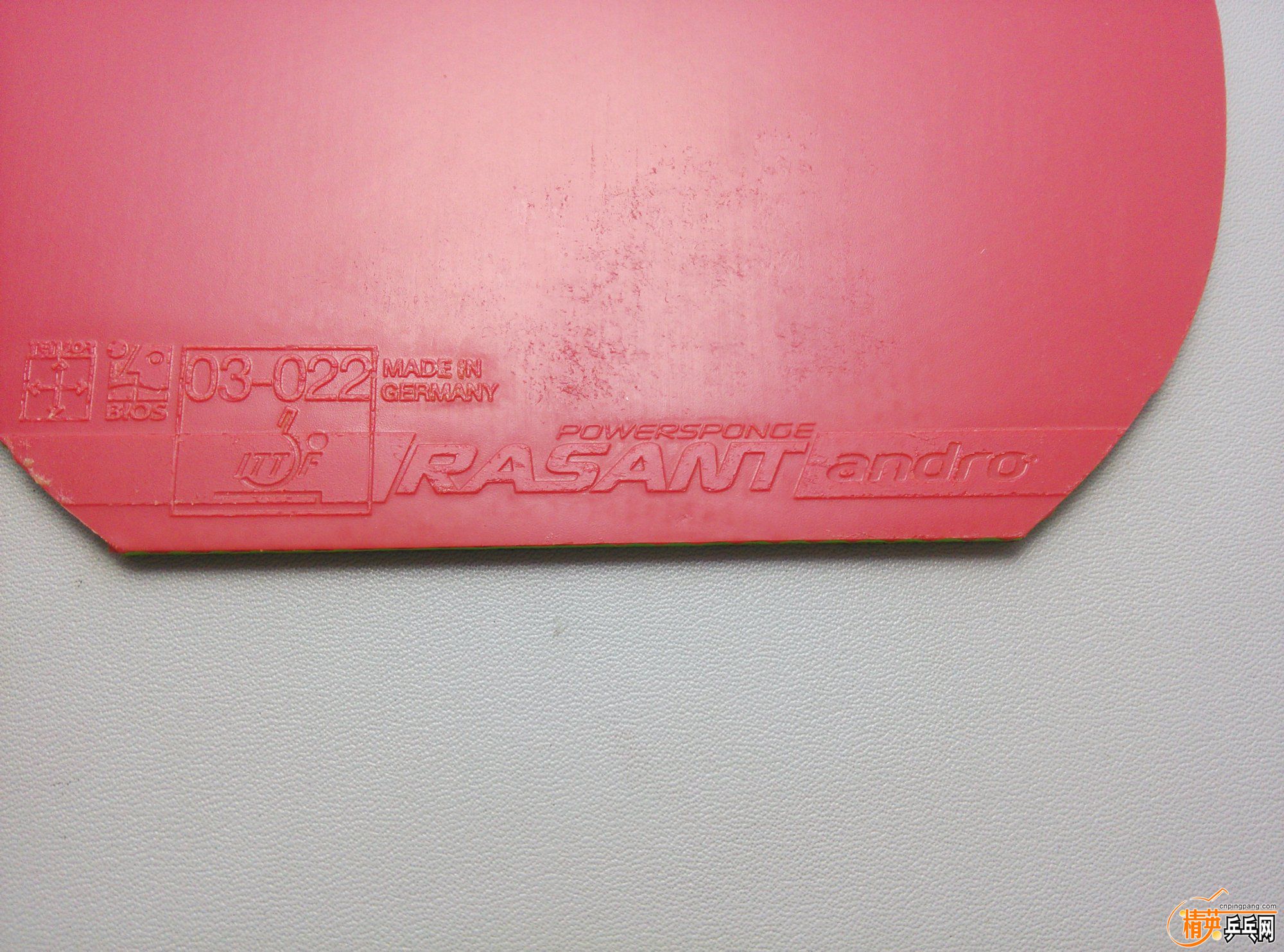 dsc_2741.jpg