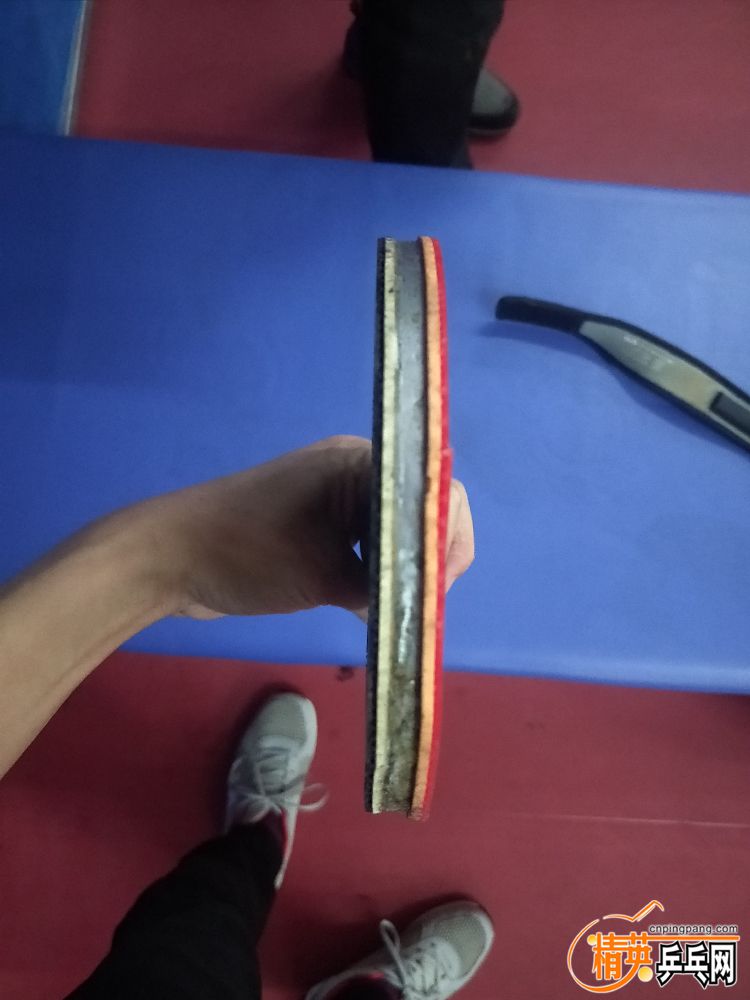 IMG20191209201610.jpg