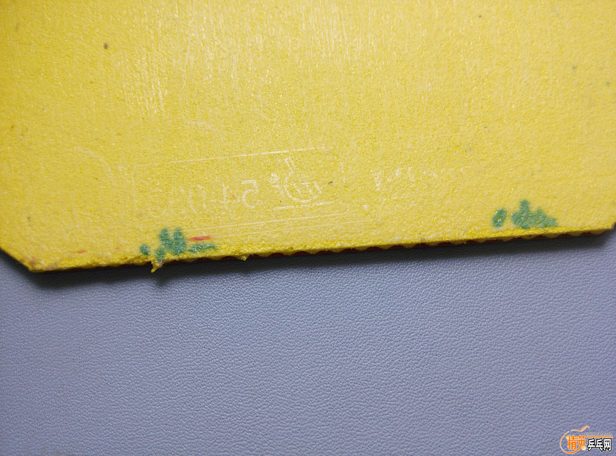 dsc_2857.jpg