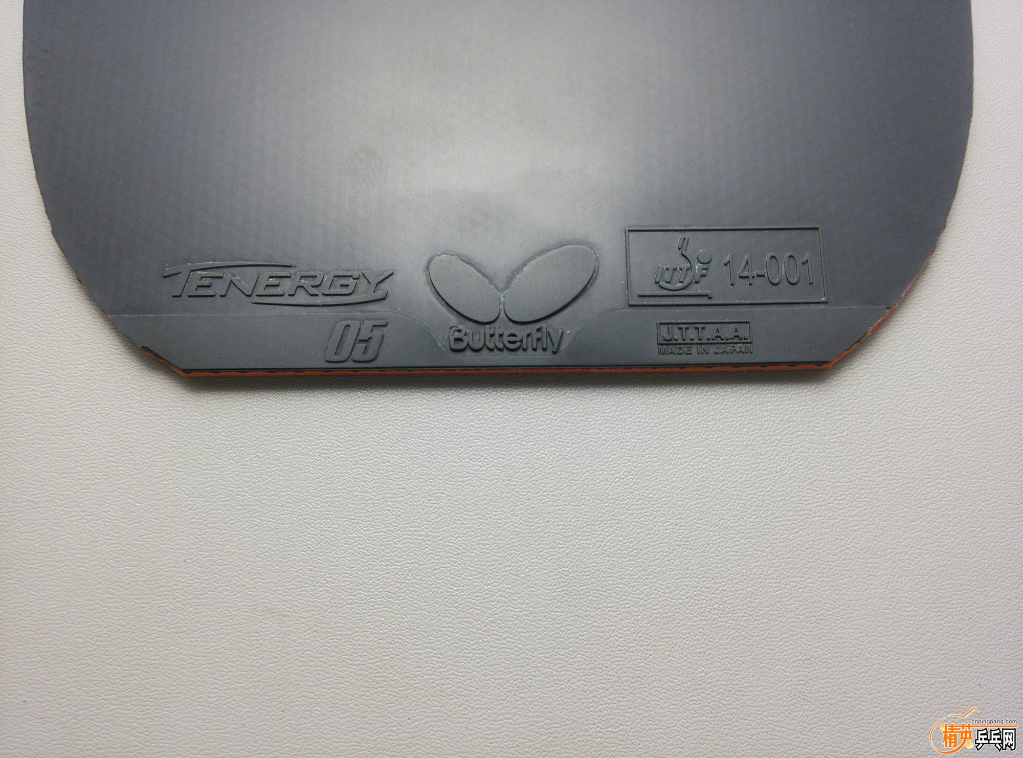 dsc_2912.jpg