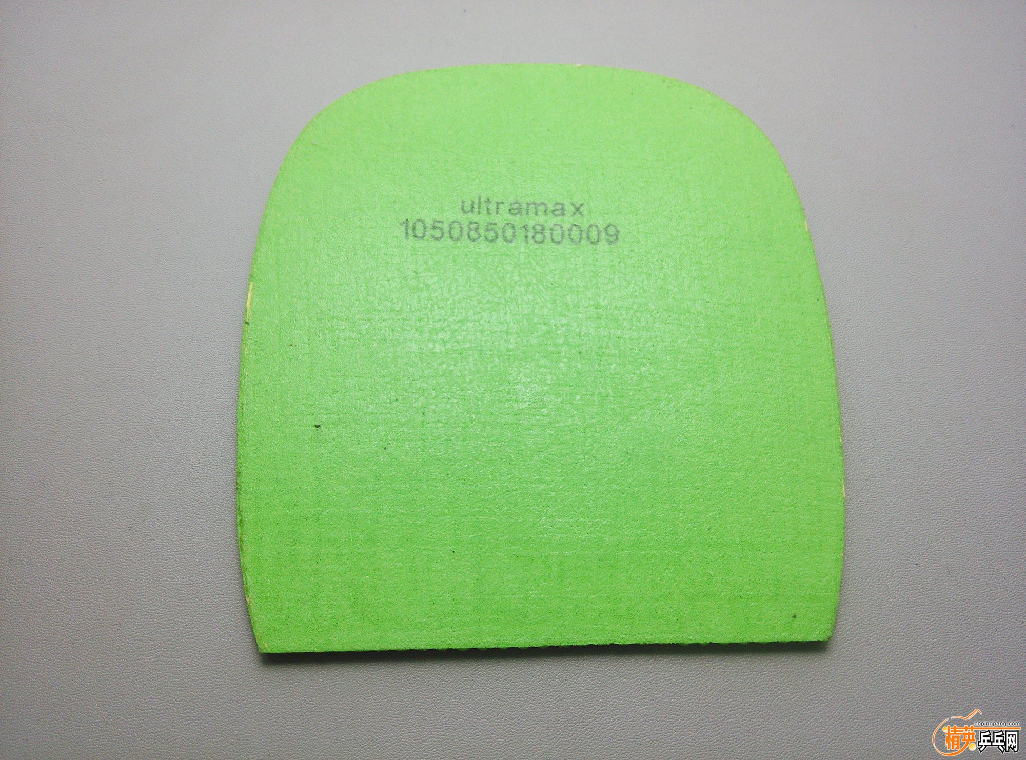 dsc_2781.jpg