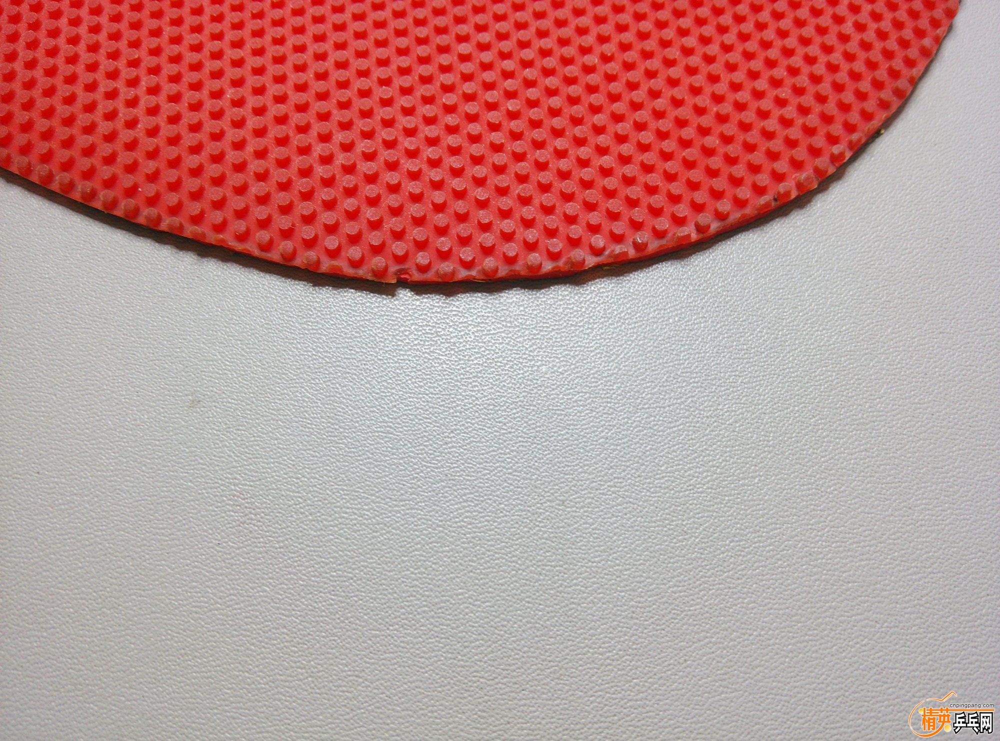 dsc_2978.jpg