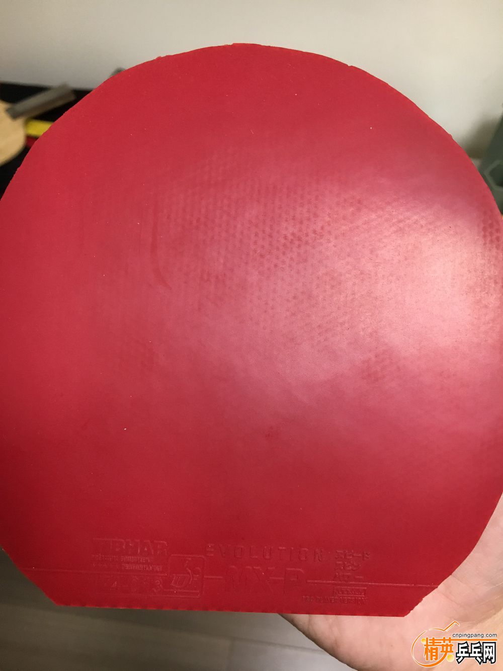 4FA0136D-1263-407B-9DA3-82057AACC8A9.jpeg