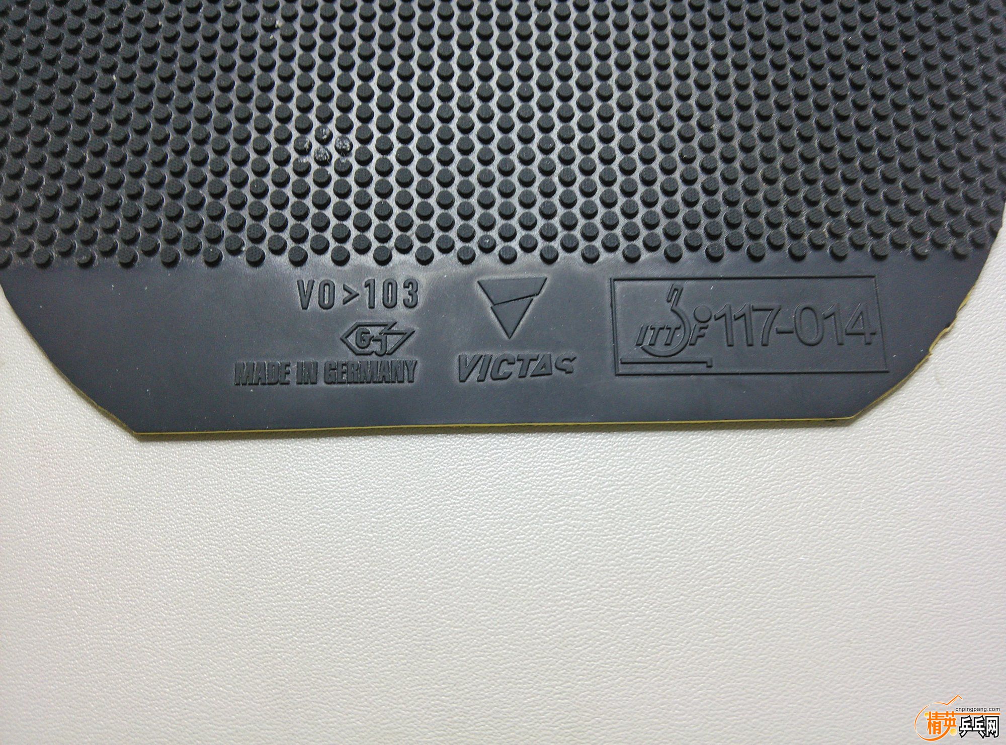 dsc_3239.jpg
