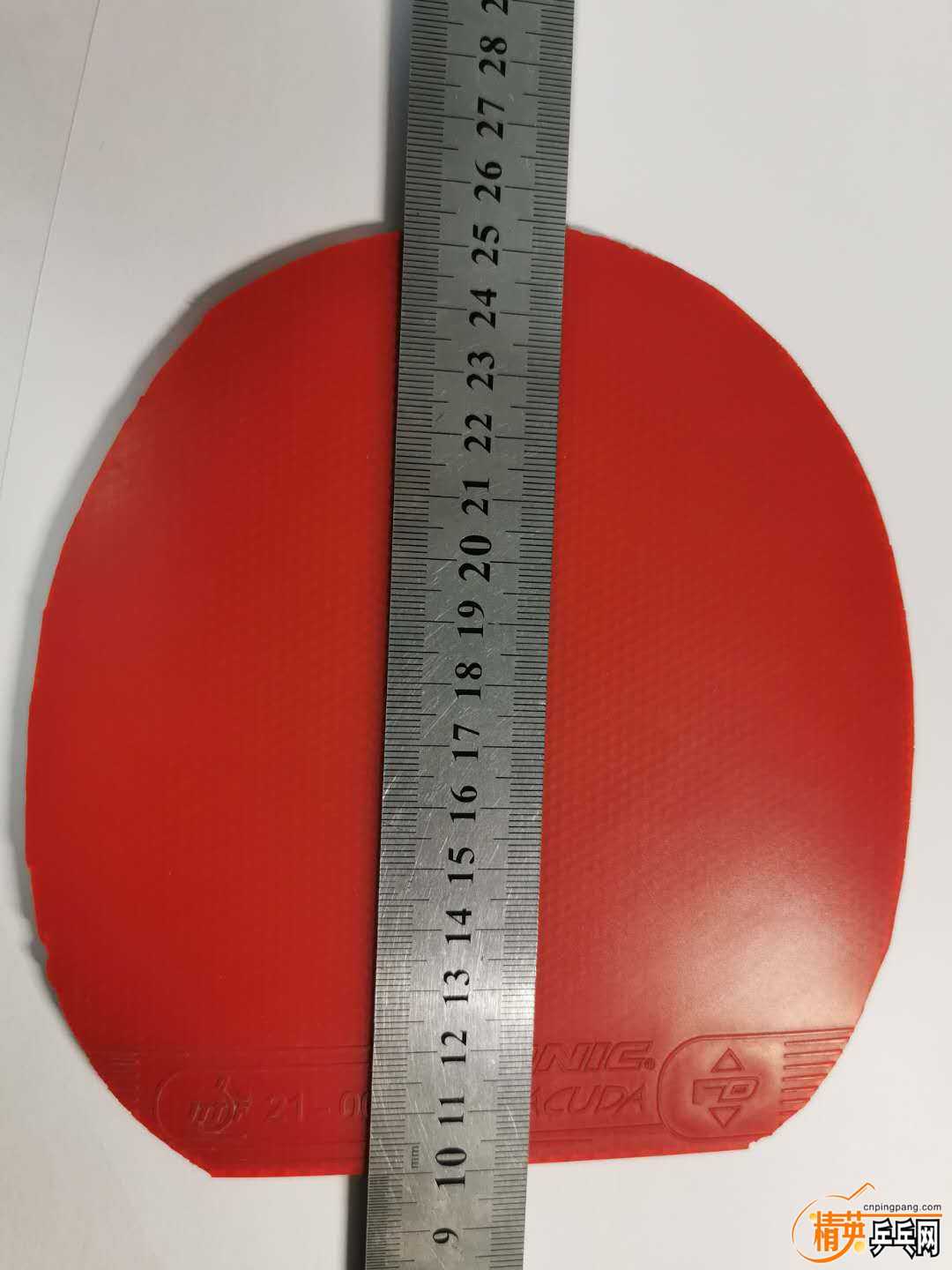 1099784503.jpg