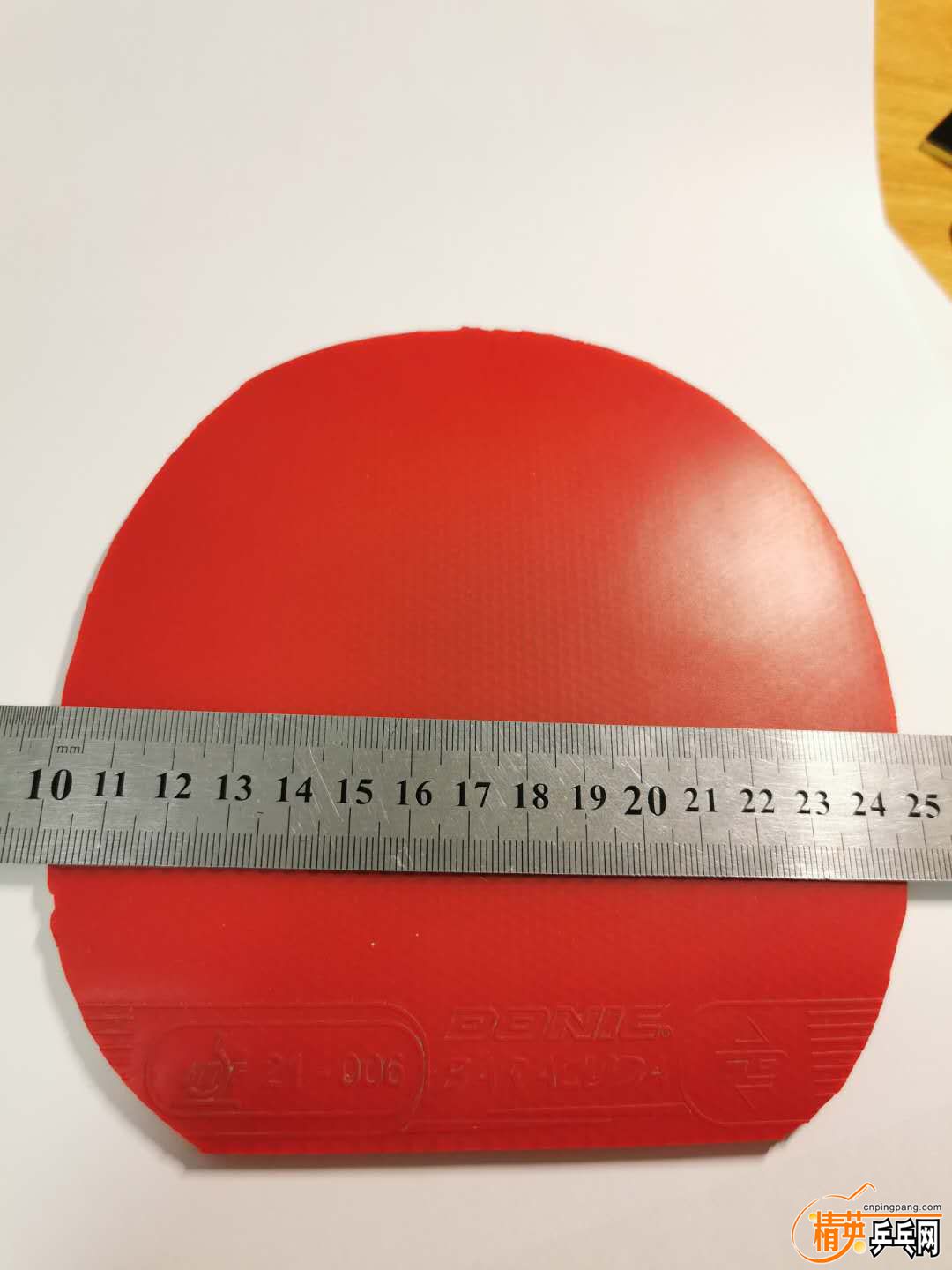 1099784502.jpg