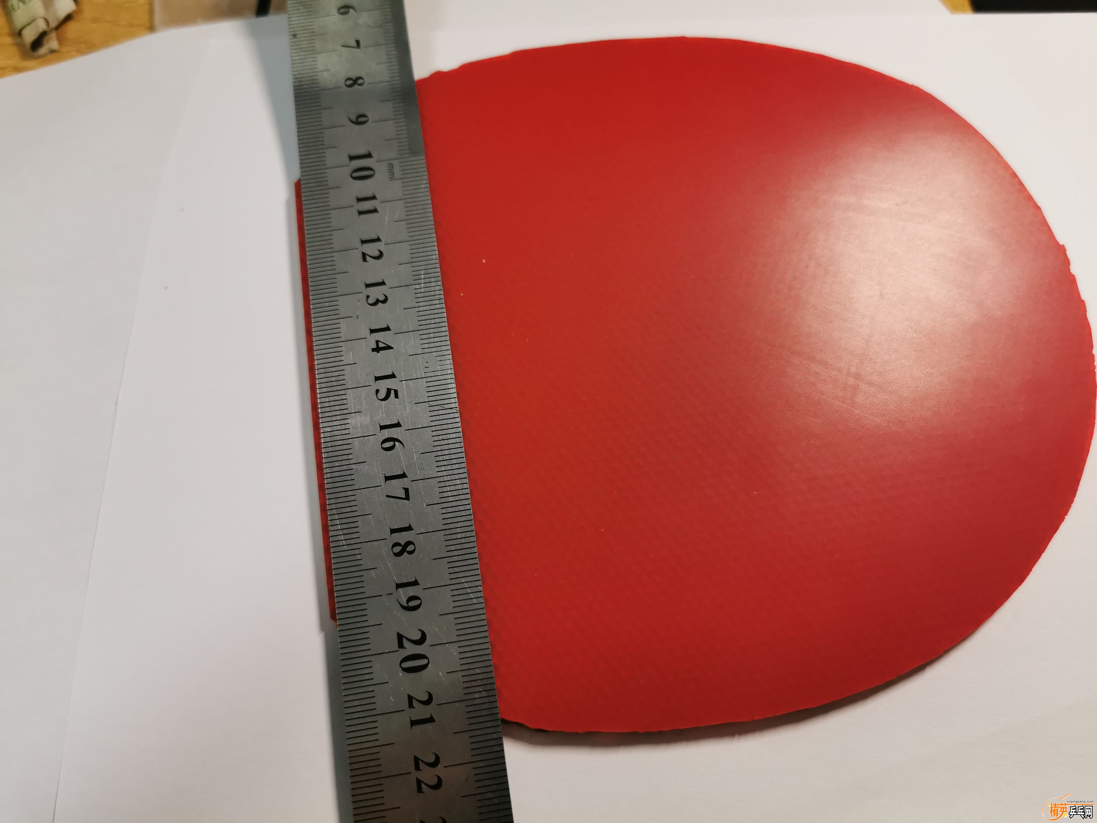 1099784504.jpg
