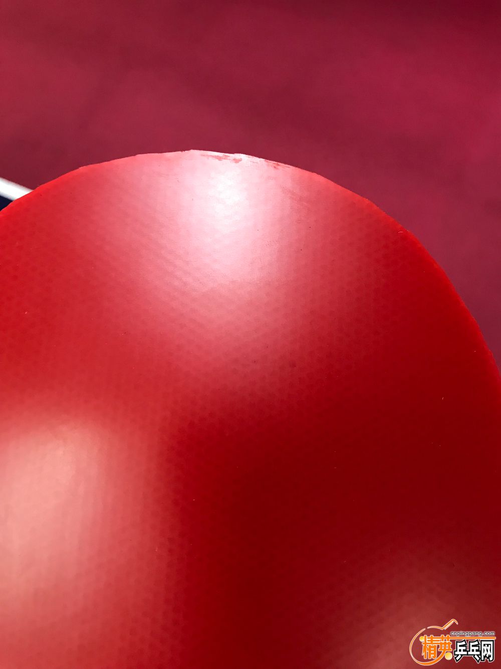 F199C5F0-92B1-4CFF-9371-35990E088B23.jpeg