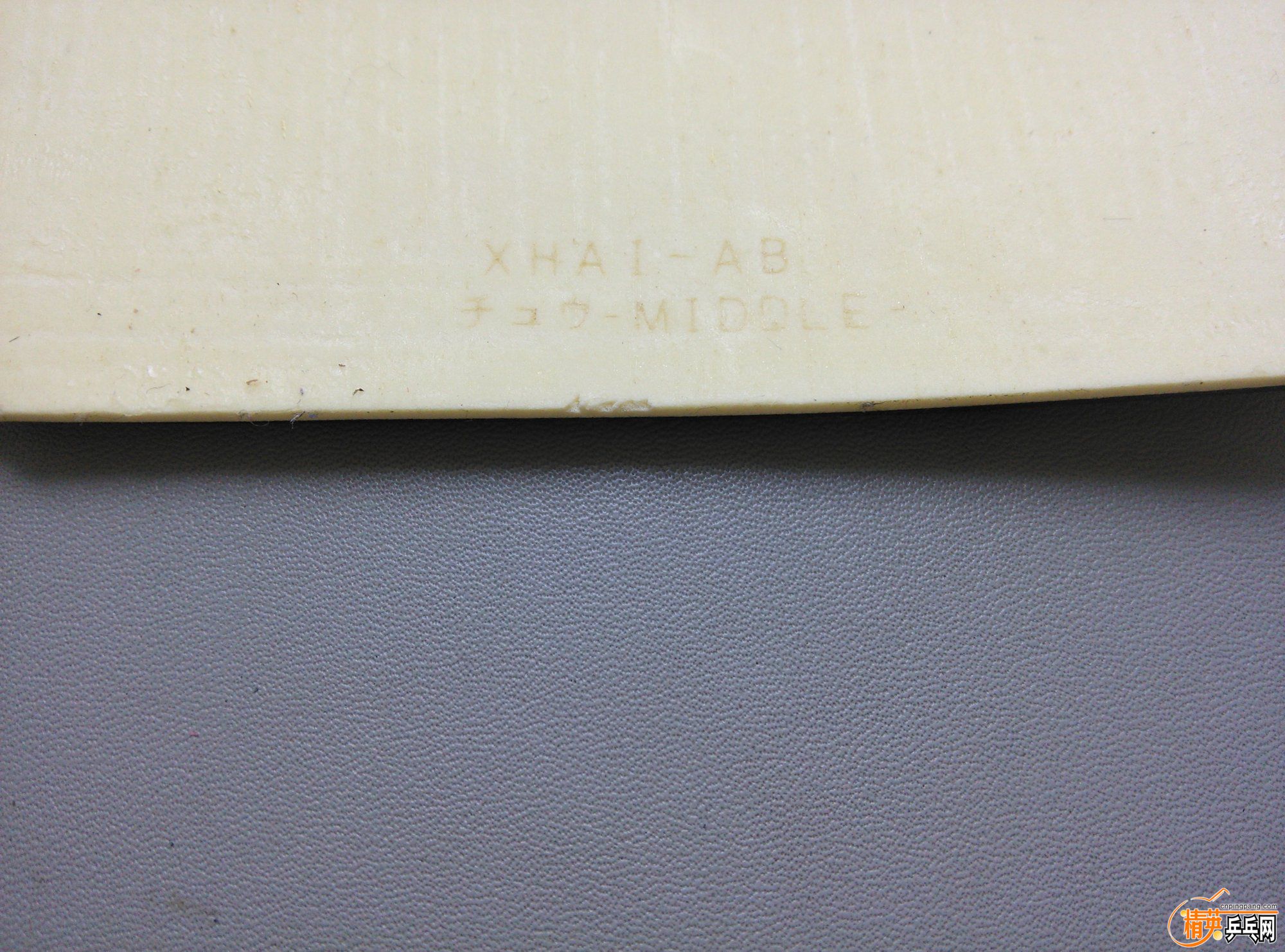 dsc_4071.jpg