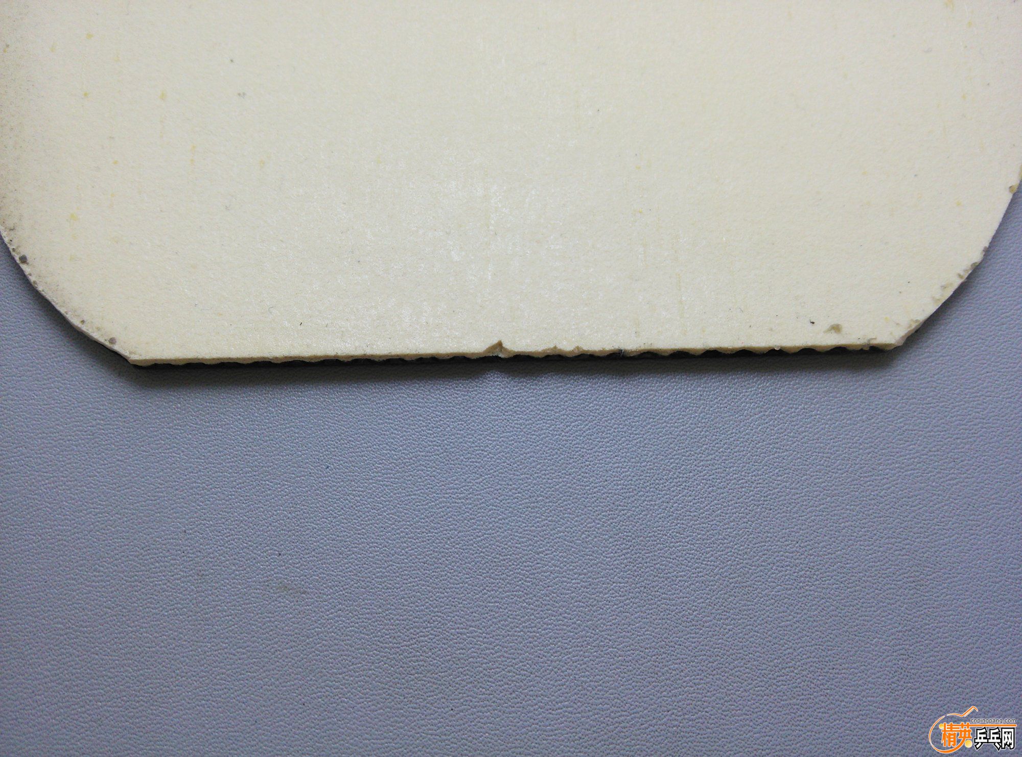 dsc_4065.jpg