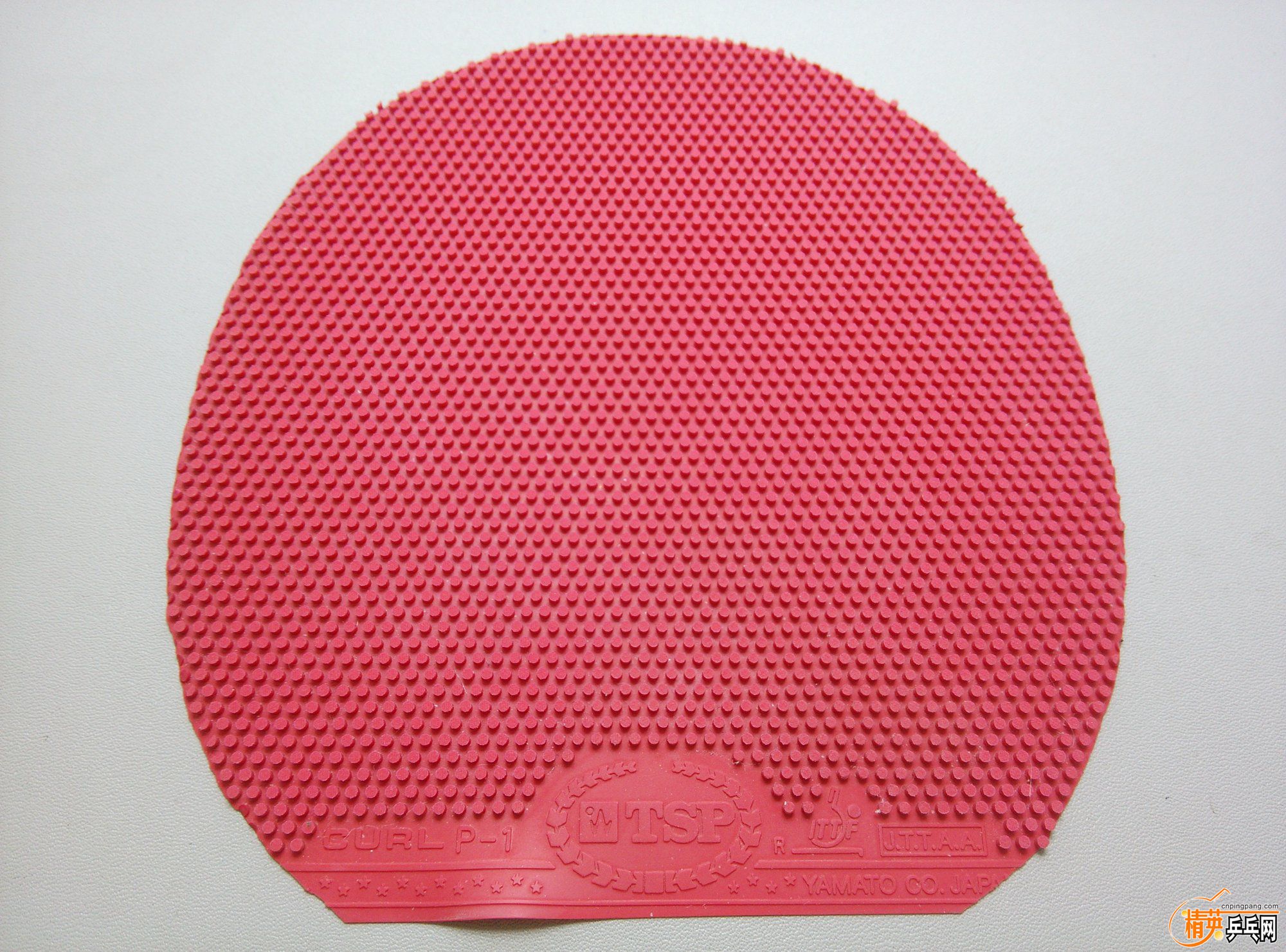 dsc_4306.jpg