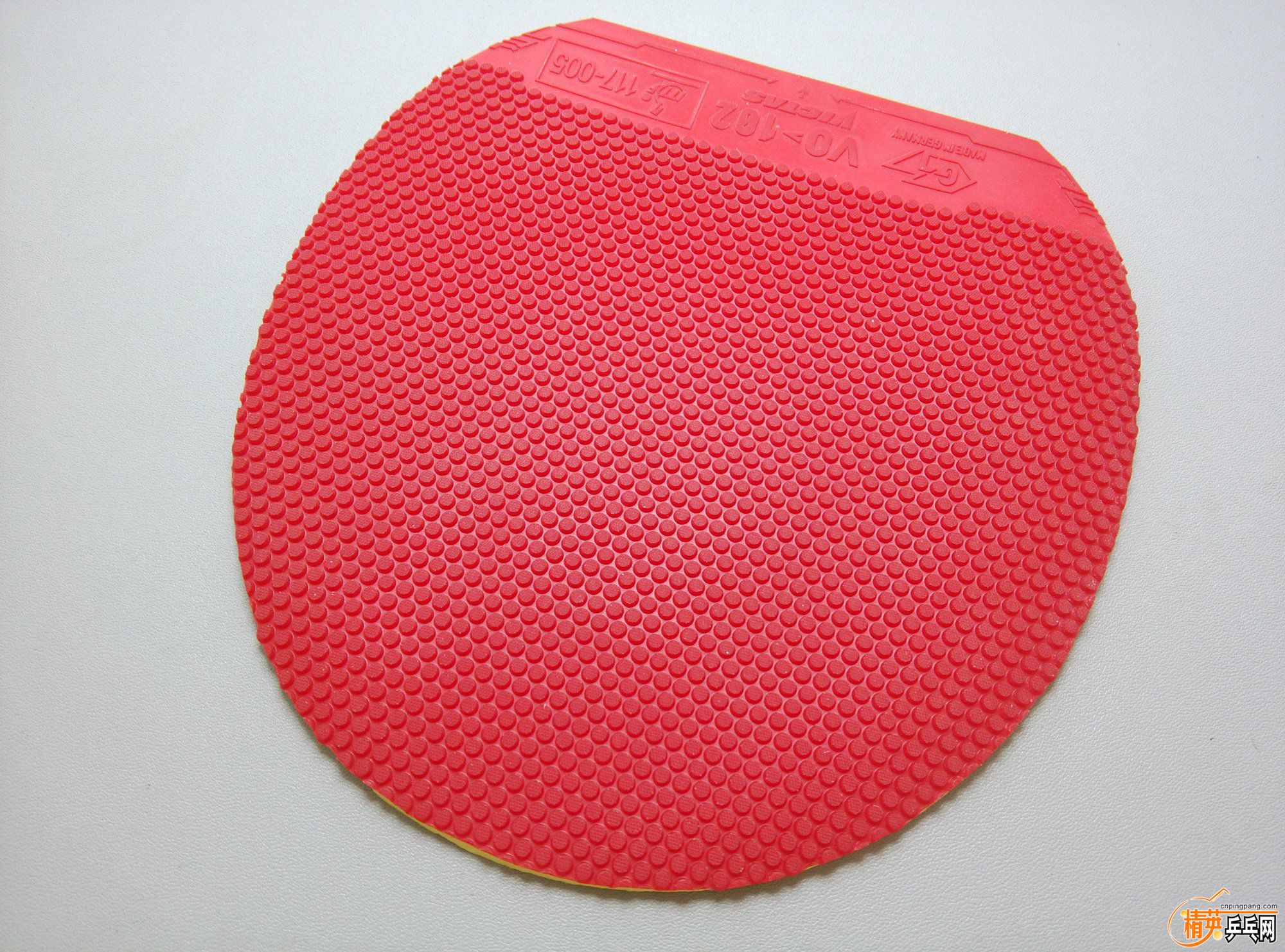dsc_4334.jpg