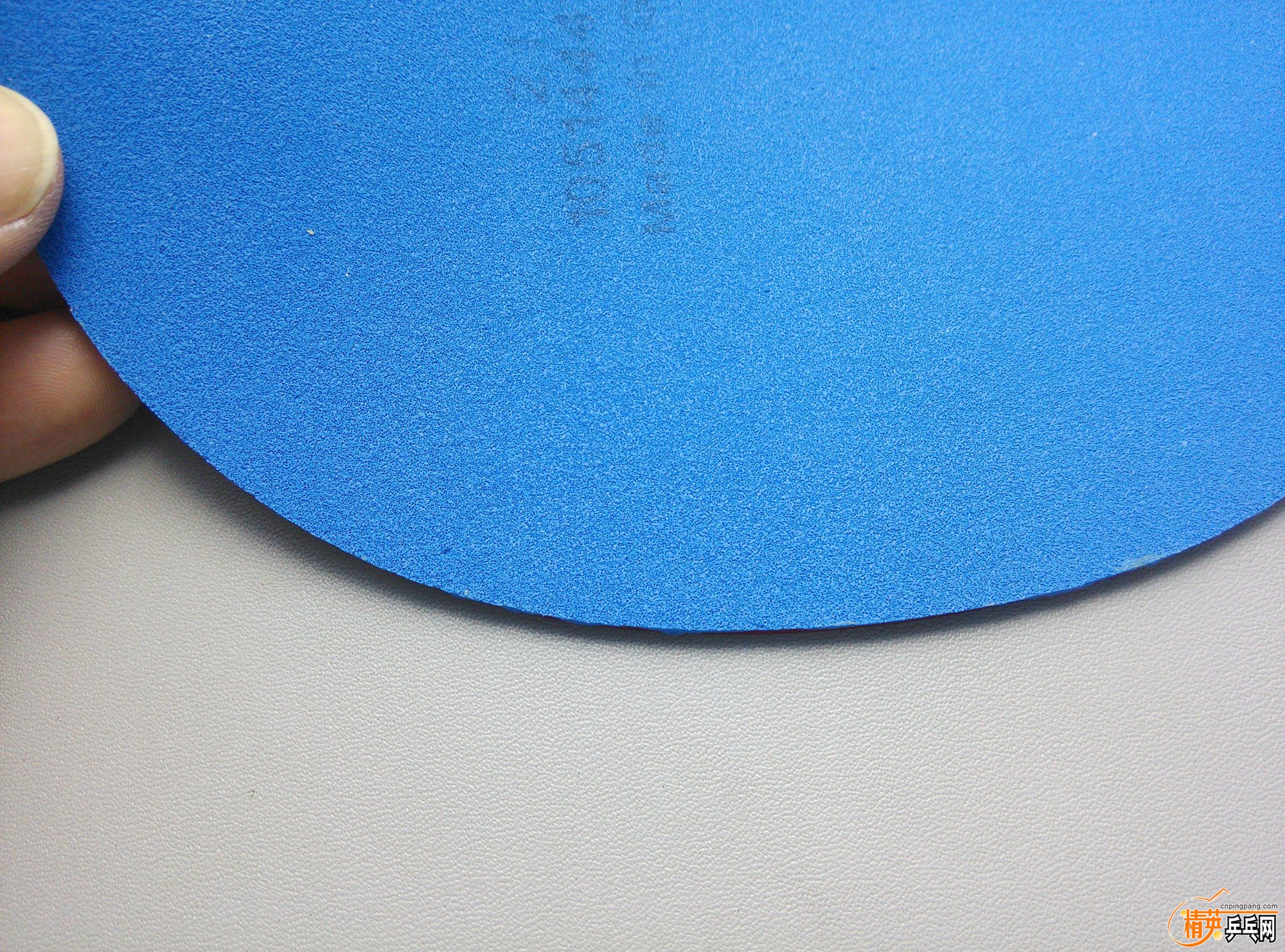 dsc_4628.jpg