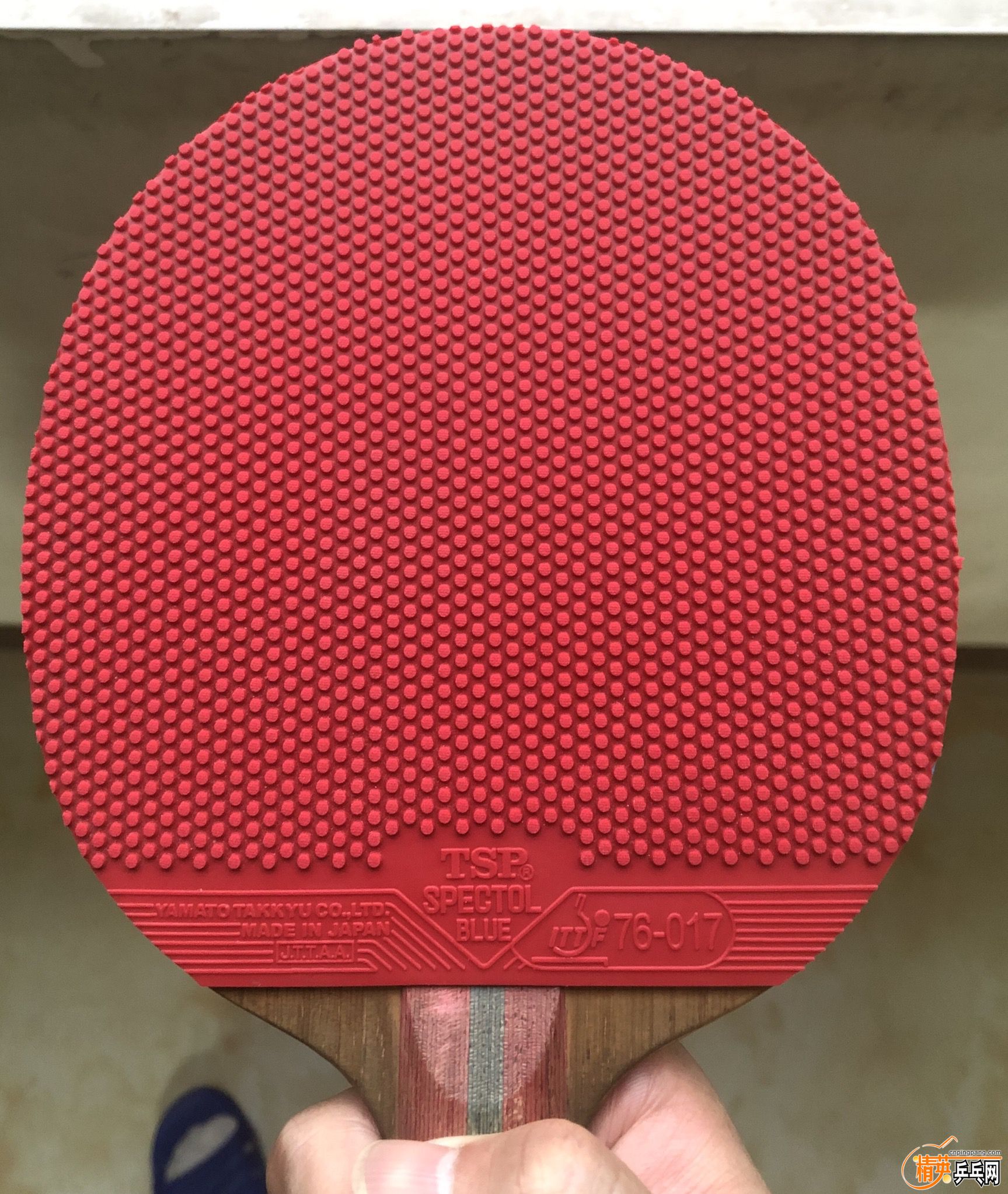 9E5D66E6-A021-4E39-AEFD-2D5AAB8454E6.jpeg