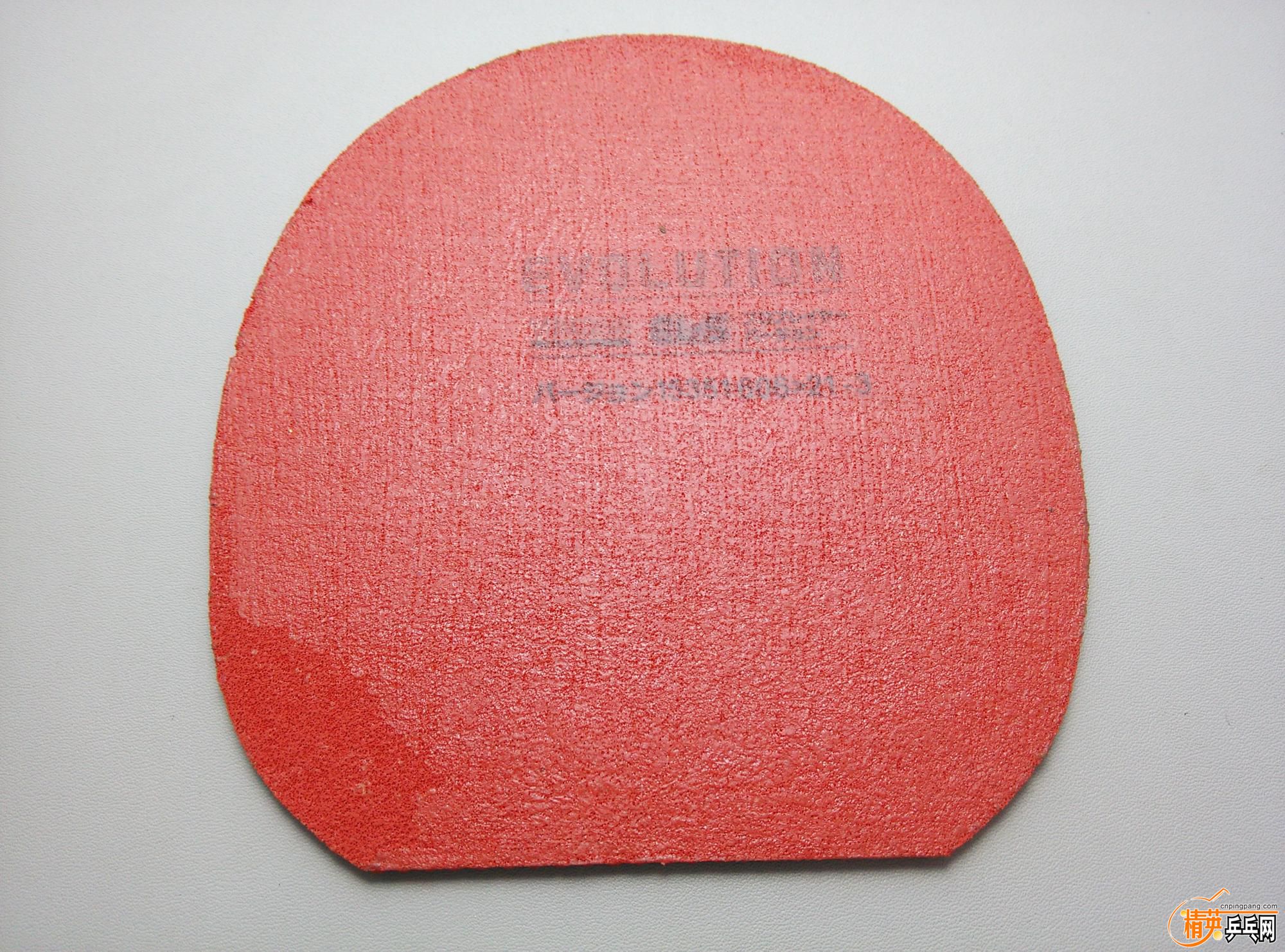 dsc_4766.jpg