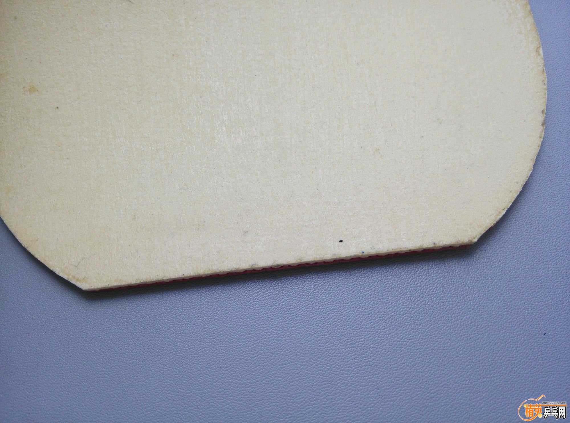 dsc_4846.jpg