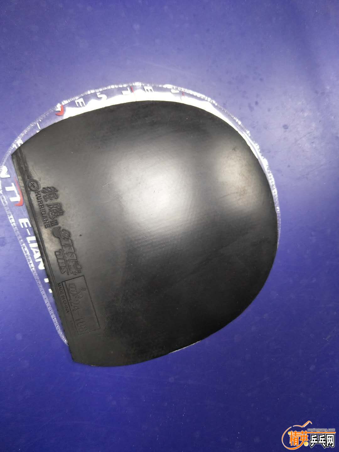 870024266.jpg