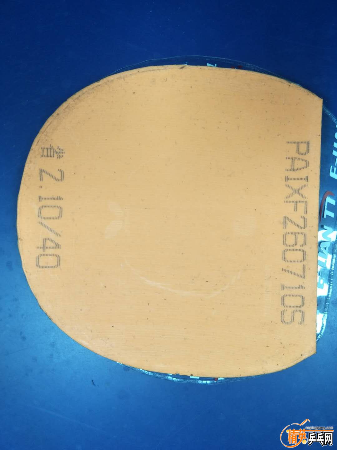 1836087161.jpg