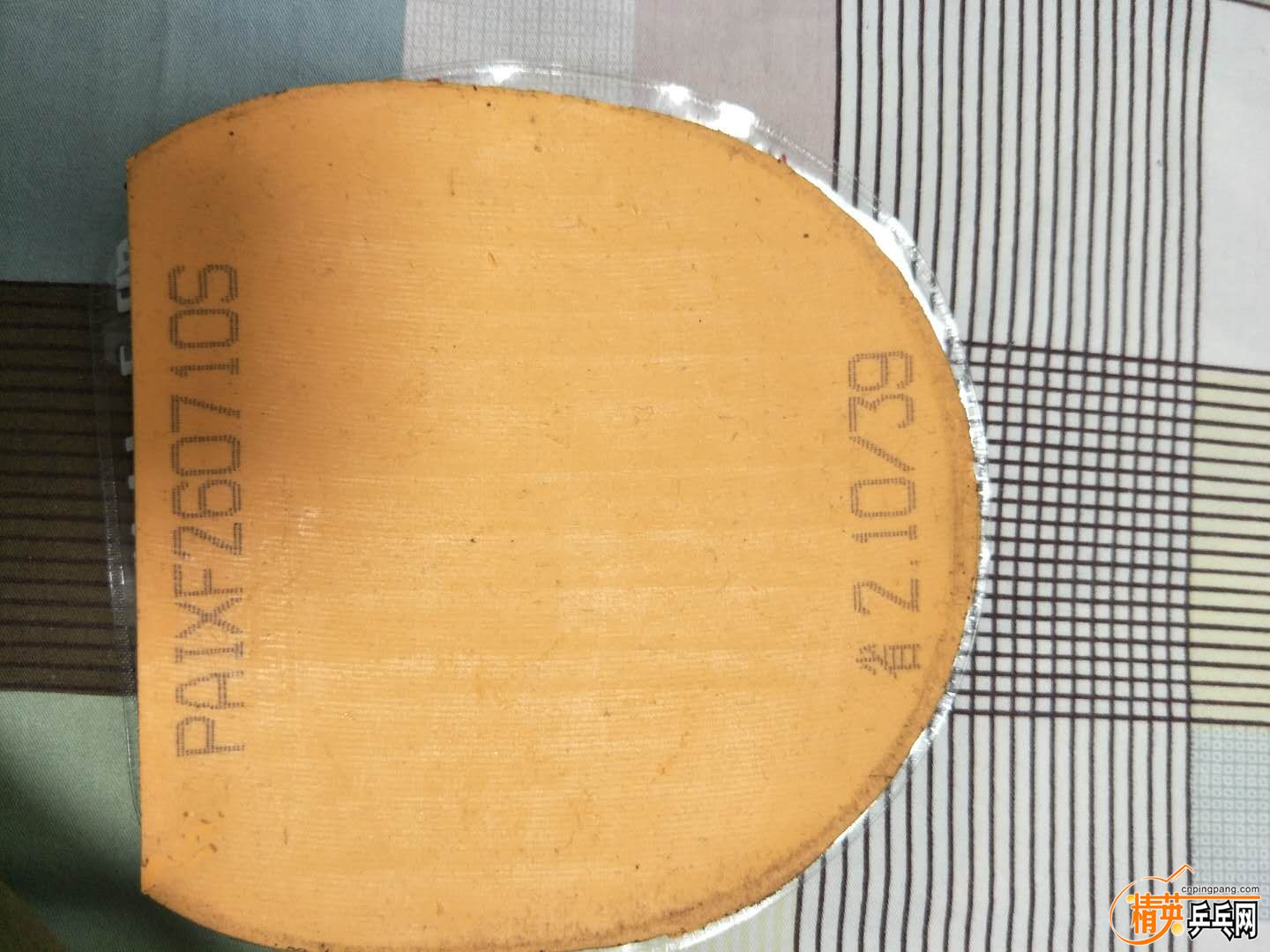 1226469036.jpg
