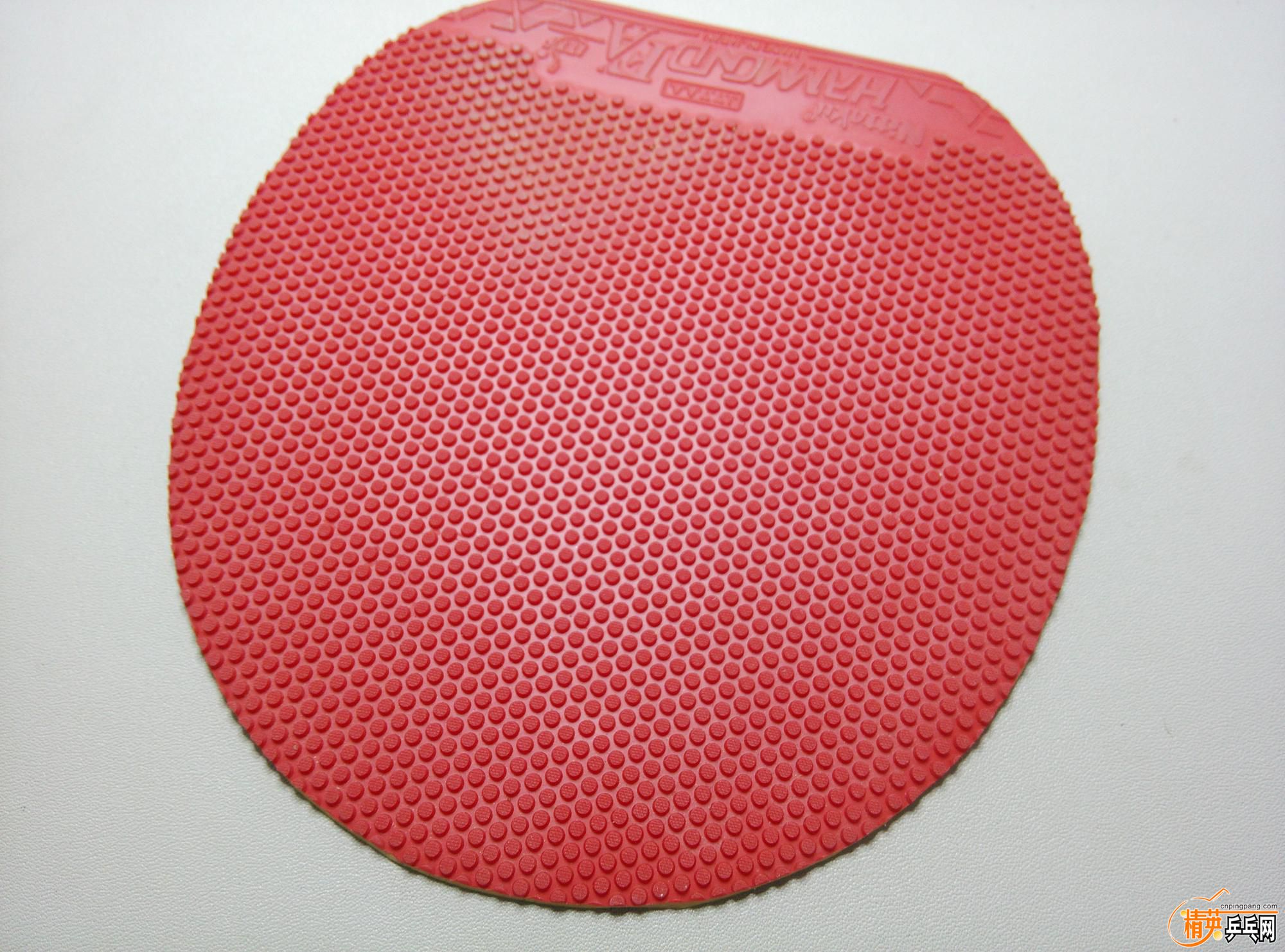 dsc_5205.jpg