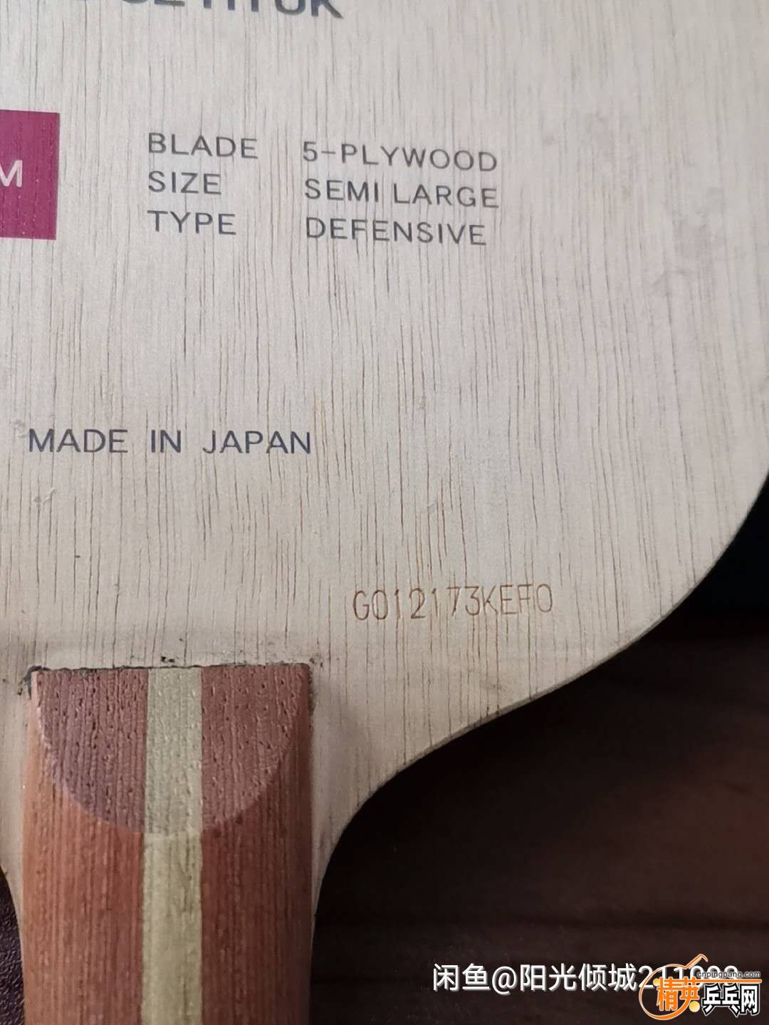 345129447.jpg