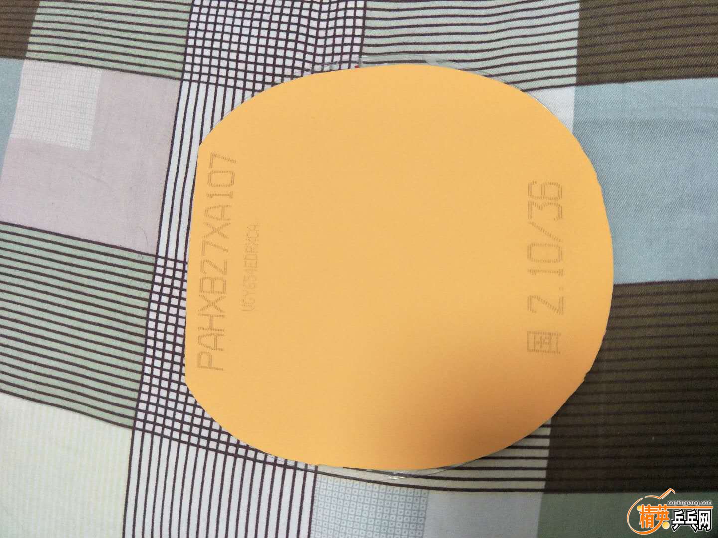 674779862.jpg