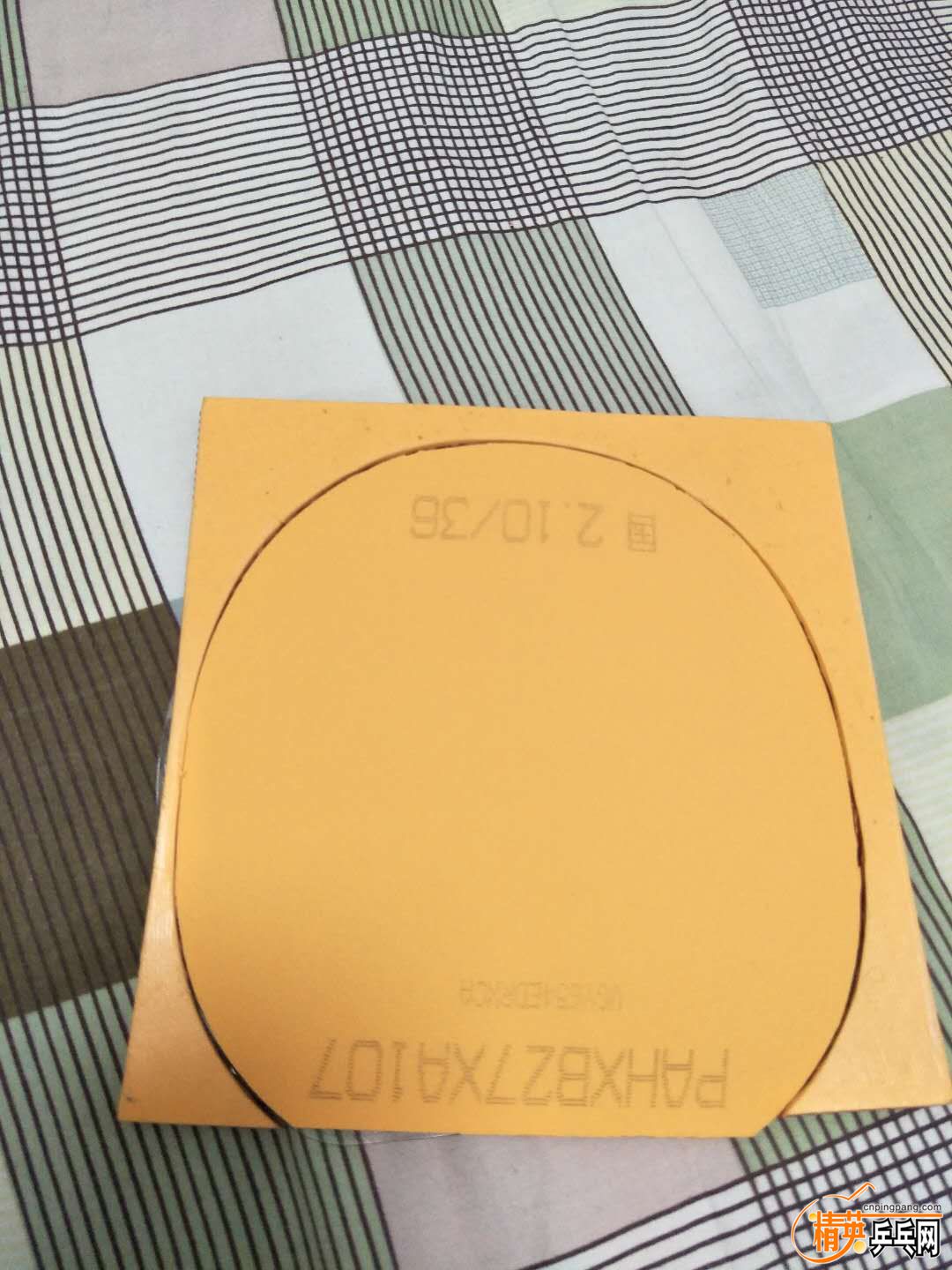 1309856048.jpg