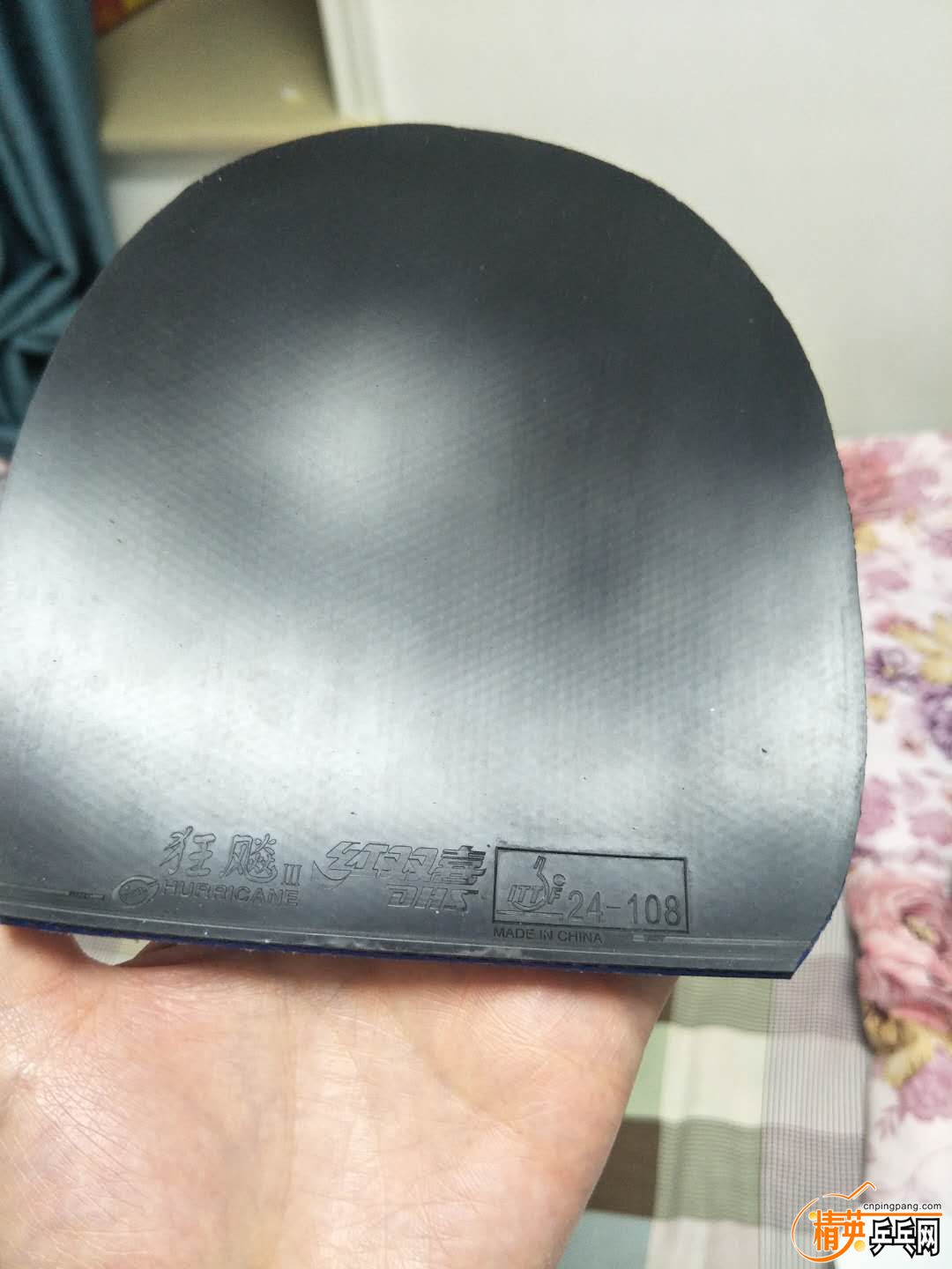 47495047.jpg