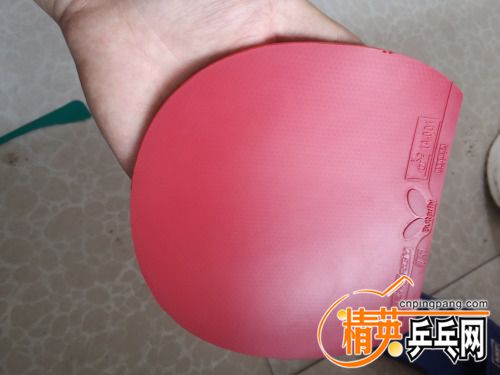 IMG_20200709_105338.jpg