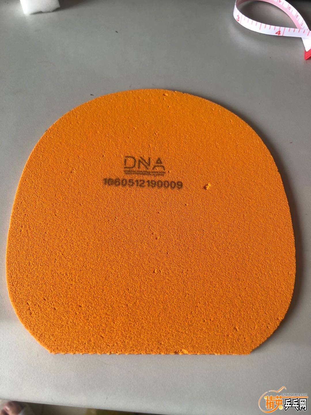 DNA