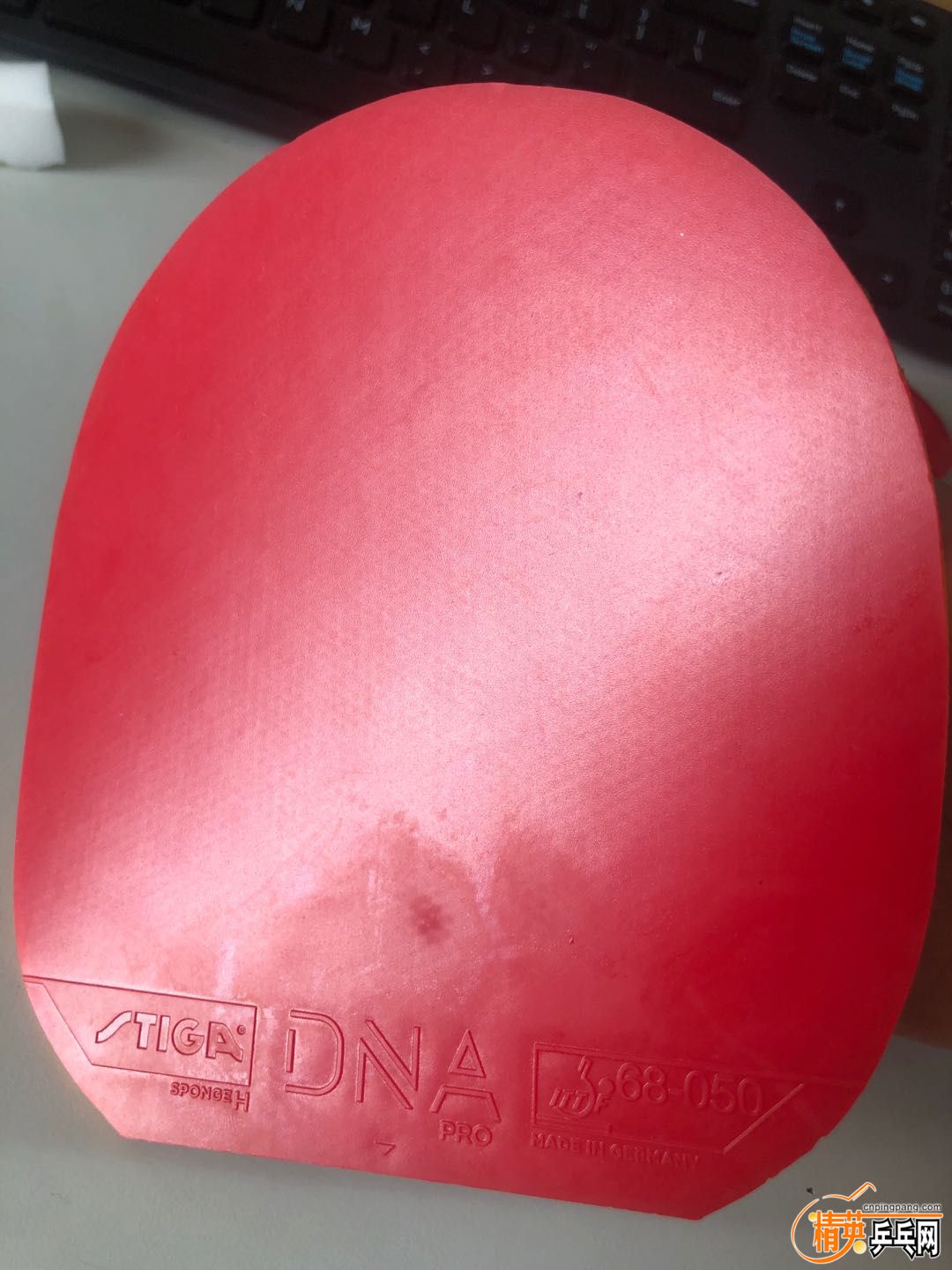 DNA