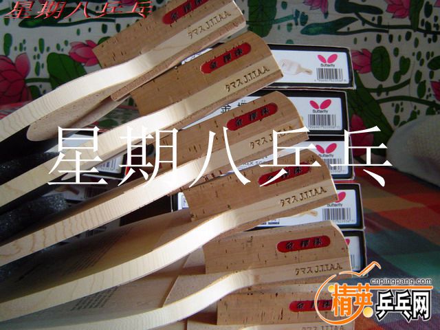 DSC05638_.jpg