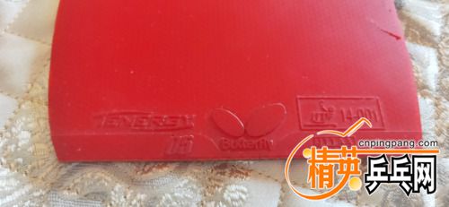 IMG20200808172116.jpg