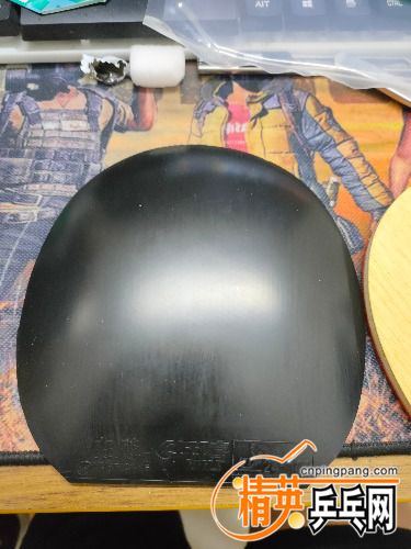 IMG20200816004840.jpg