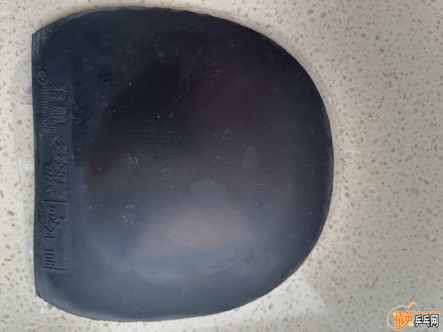 565451412.jpg